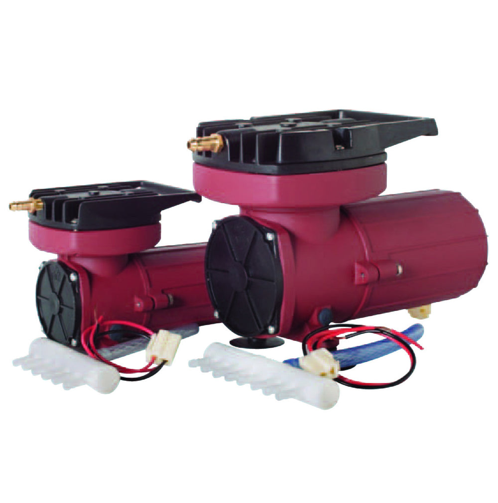 12 Volt Air Pumps