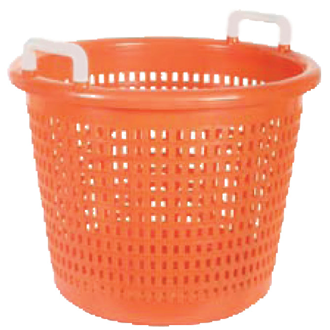 Fish Basket