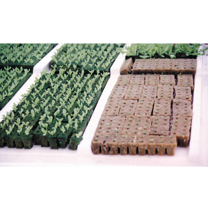 Rockwool Propagation Cubes