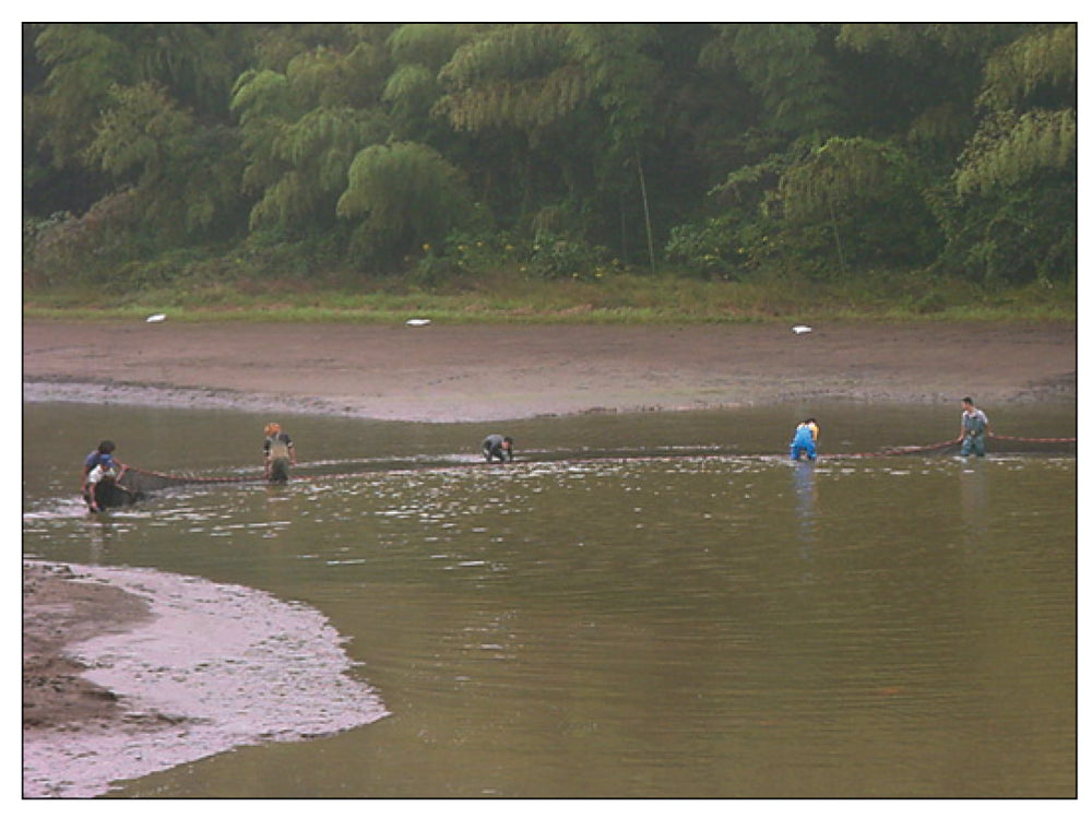 Custom Seine Nets